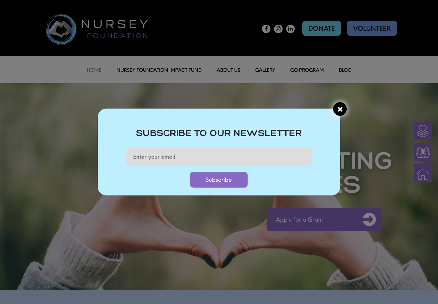 Nursey Foundation case study